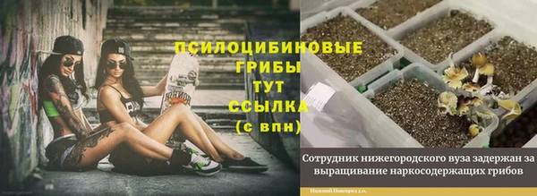 кристаллы Горняк