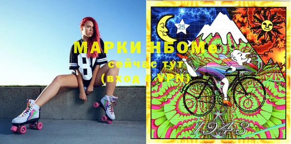 гашик Корсаков