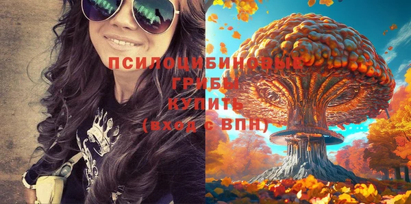 кристаллы Горняк