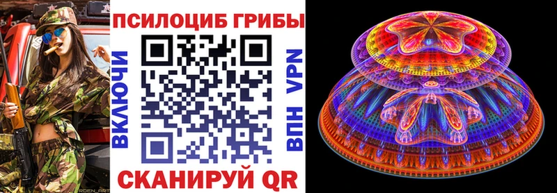 Галлюциногенные грибы прущие грибы  купить наркотики сайты  Зеленогорск 