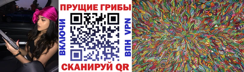Галлюциногенные грибы GOLDEN TEACHER Зеленогорск
