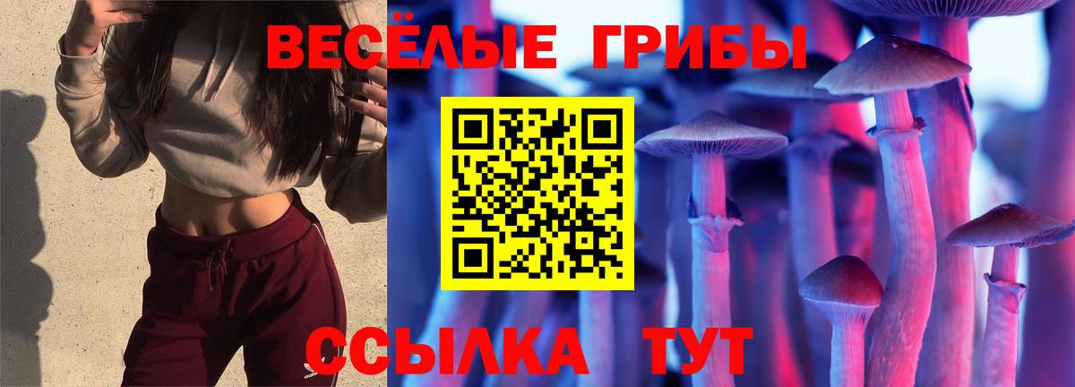 Псилоцибиновые грибы прущие грибы  Галлюциногенные грибы Cubensis  Зеленогорск  Вход с VPN 