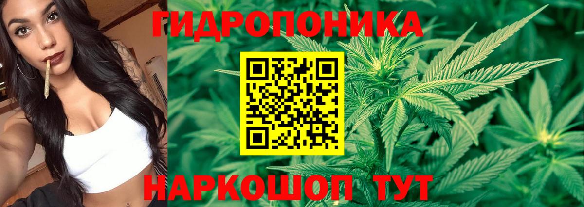 Конопля план  Вход с VPN  Зеленогорск  Бошки марихуана марихуана 